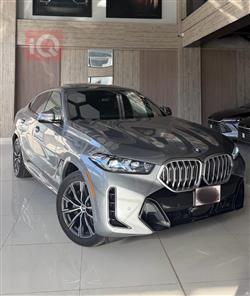 بی ئێم دەبڵیو X6